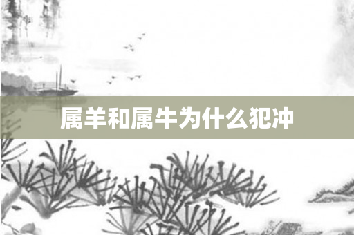 属羊和属牛为什么犯冲