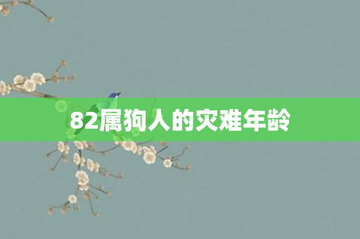 82属狗人的灾难年龄