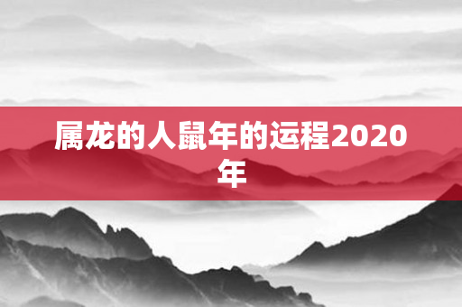 属龙的人鼠年的运程2020年