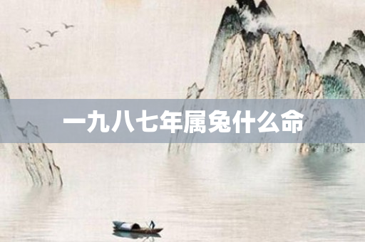 一九八七年属兔什么命