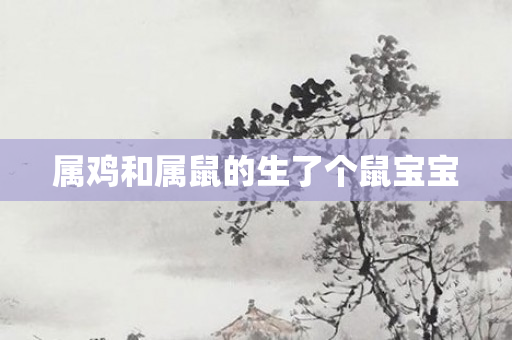 属鸡和属鼠的生了个鼠宝宝