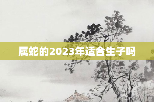 属蛇的2023年适合生子吗