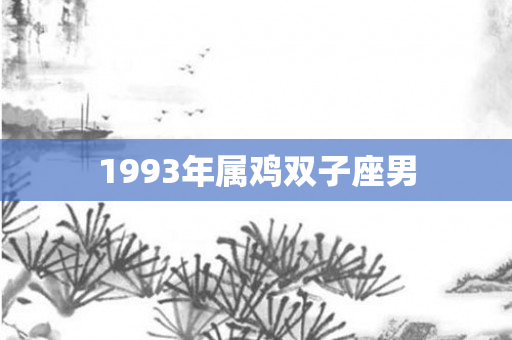 1993年属鸡双子座男