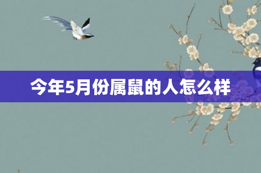 今年5月份属鼠的人怎么样