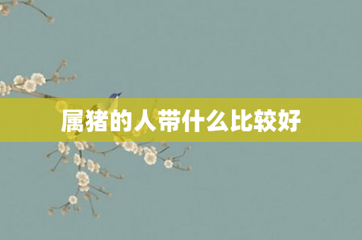 属猪的人带什么比较好