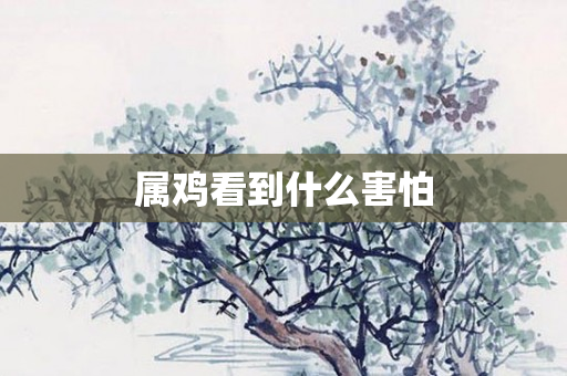 属鸡看到什么害怕