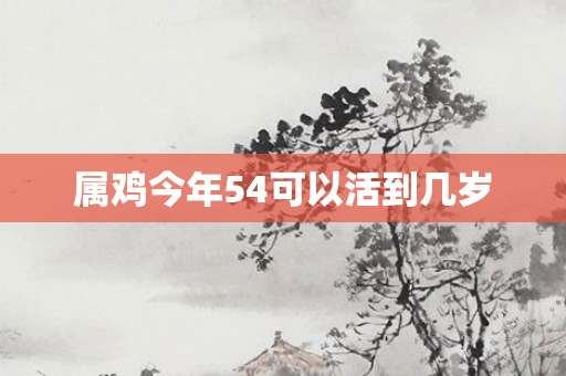属鸡今年54可以活到几岁
