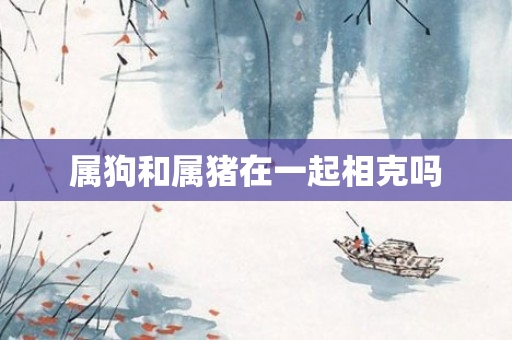 属狗和属猪在一起相克吗