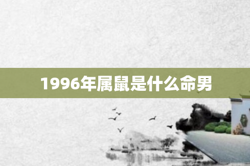 1996年属鼠是什么命男