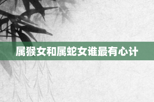 属猴女和属蛇女谁最有心计