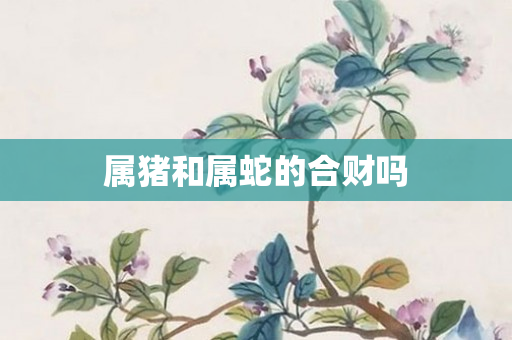 属猪和属蛇的合财吗