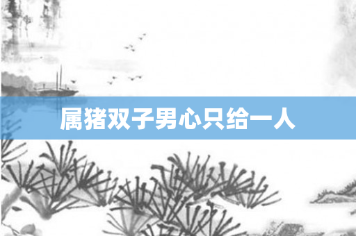 属猪双子男心只给一人