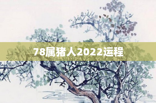 78属猪人2022运程