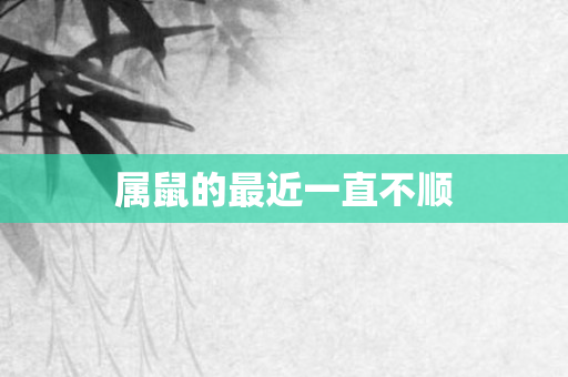 属鼠的最近一直不顺