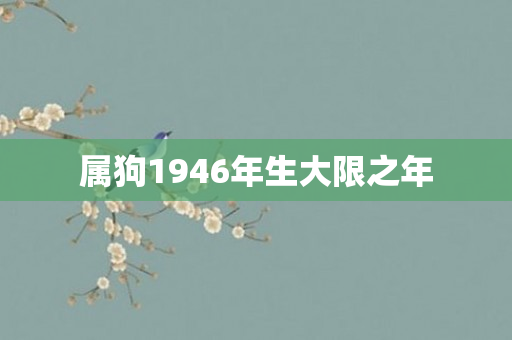 属狗1946年生大限之年