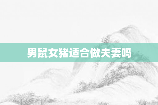 男鼠女猪适合做夫妻吗