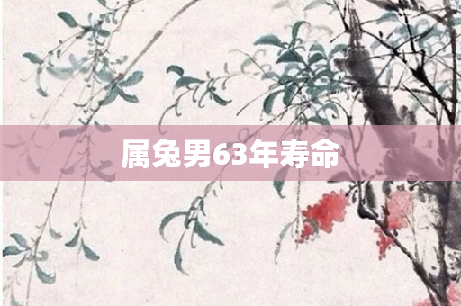 属兔男63年寿命