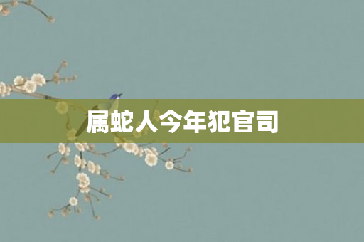 属蛇人今年犯官司
