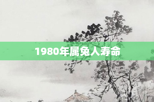 1980年属兔人寿命