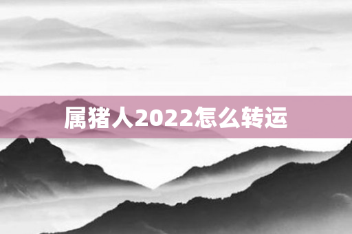 属猪人2022怎么转运