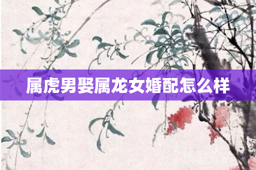 属虎男娶属龙女婚配怎么样