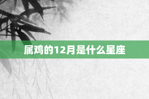 属鸡的12月是什么星座