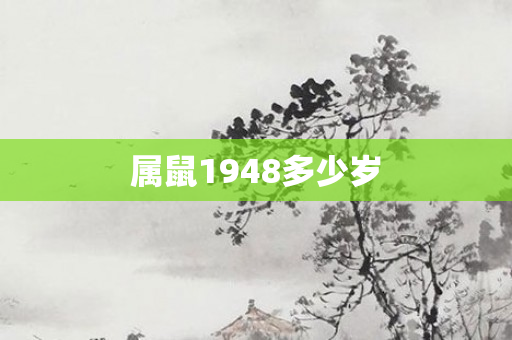 属鼠1948多少岁