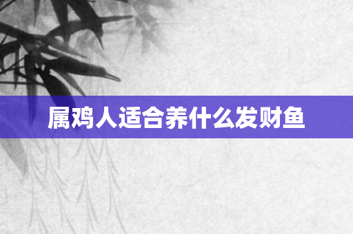 属鸡人适合养什么发财鱼