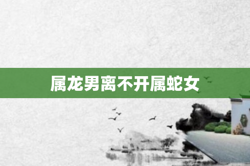 属龙男离不开属蛇女