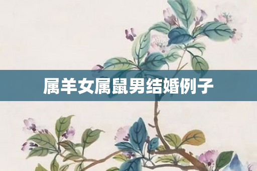 属羊女属鼠男结婚例子