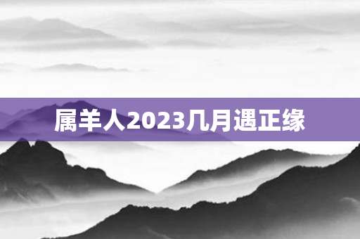 属羊人2023几月遇正缘