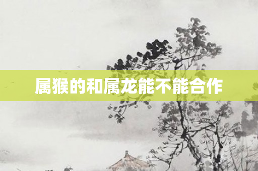 属猴的和属龙能不能合作