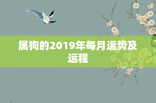 属狗的2019年每月运势及运程