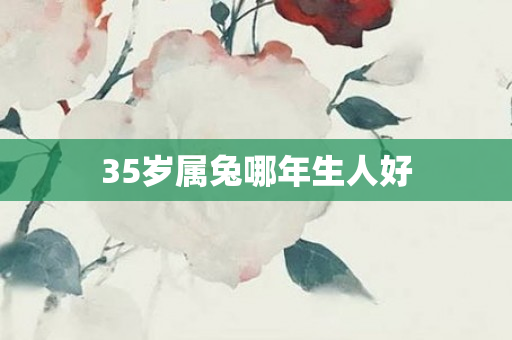 35岁属兔哪年生人好