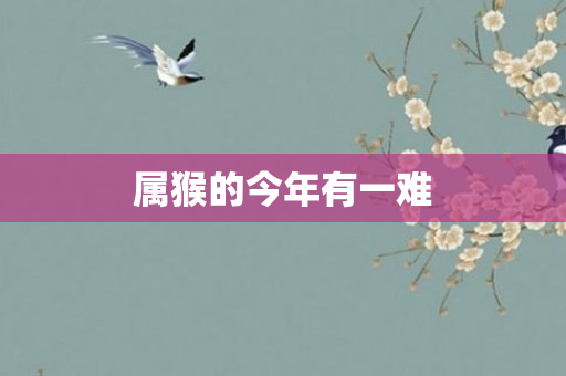 属猴的今年有一难