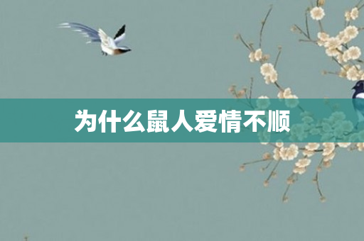 为什么鼠人爱情不顺