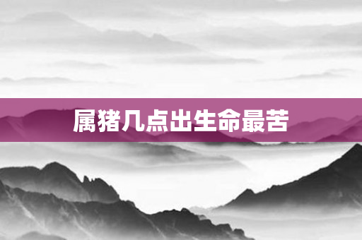 属猪几点出生命最苦