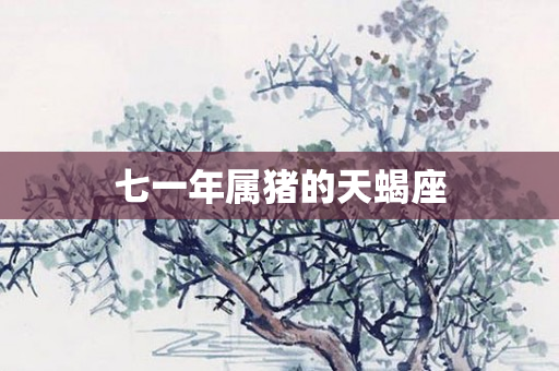 七一年属猪的天蝎座