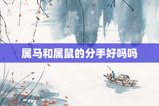 属马和属鼠的分手好吗吗
