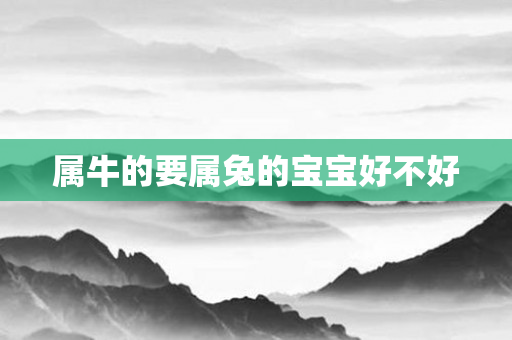 属牛的要属兔的宝宝好不好