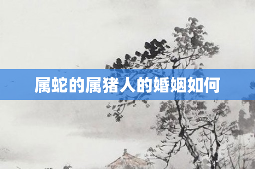 属蛇的属猪人的婚姻如何