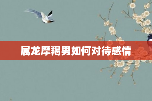 属龙摩羯男如何对待感情