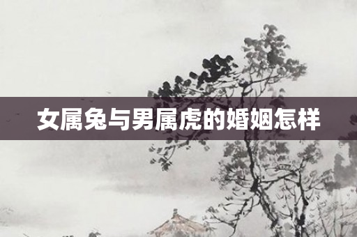女属兔与男属虎的婚姻怎样