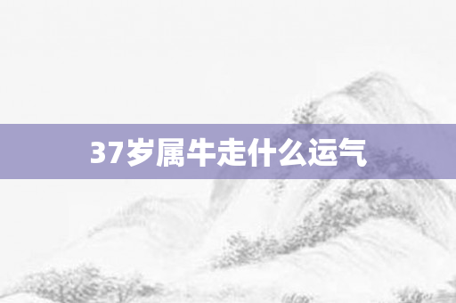 37岁属牛走什么运气