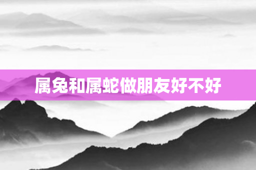 属兔和属蛇做朋友好不好