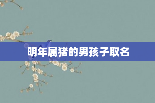 明年属猪的男孩子取名