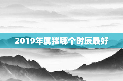 2019年属猪哪个时辰更好