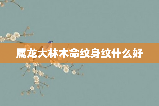 属龙大林木命纹身纹什么好