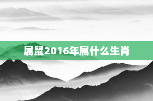 属鼠2016年属什么生肖