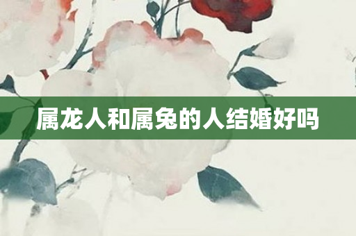 属龙人和属兔的人结婚好吗
